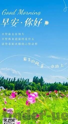 芬兰足球联赛比分-芬兰足球联赛比分背后的故事，绿茵场上的北欧传奇