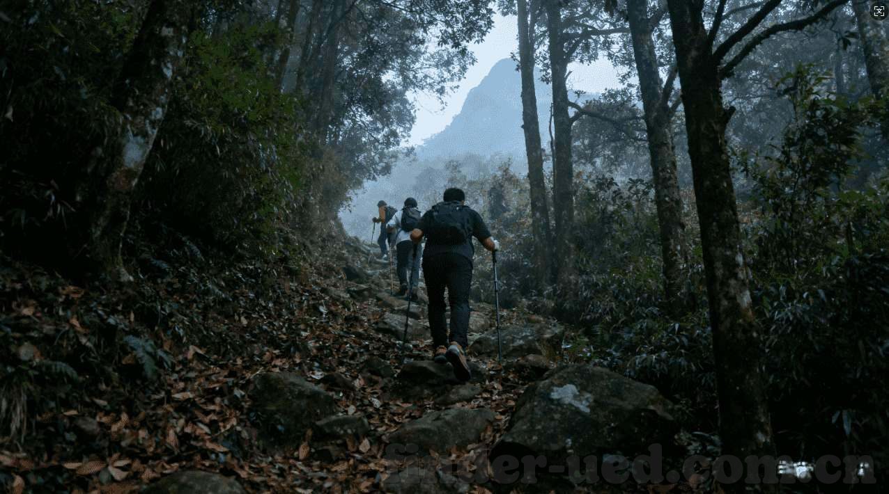 上海德州扑克高手-上海德州扑克高手，技艺与智慧的碰撞